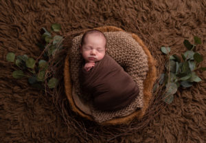 Newborn baby in brown nest on brown flokati with greenery